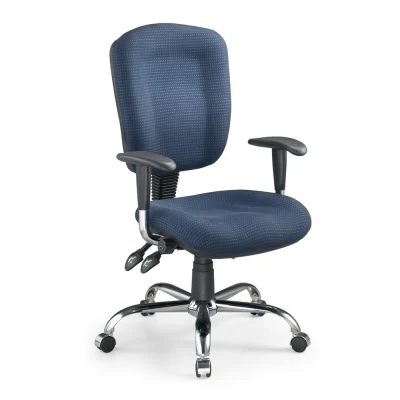 Executive Ergonomic Office Chair