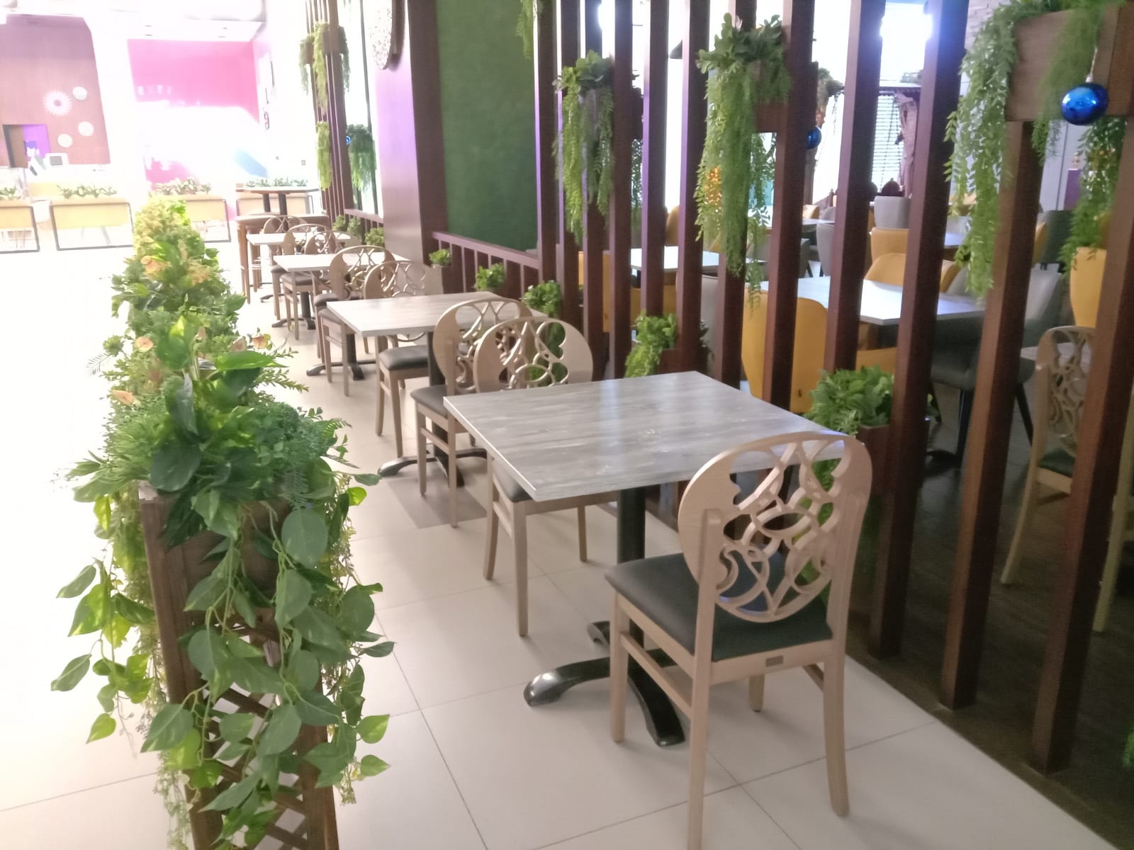 Chairs for restaurants and cafe