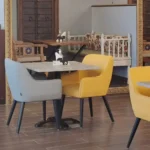 coffee chairs and table