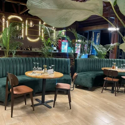 natural wood dining chairs natural wood dining chairs