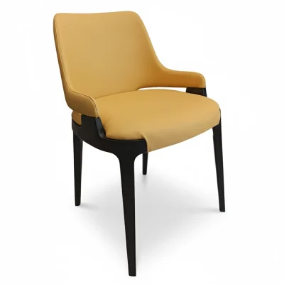 Restaurant Dining Chair
